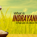 What is Indrayani Rice and What are its Best Recipes?