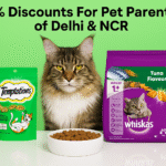 Why Buy Cat Food Online? For a 10% Discount in Delhi NCR!