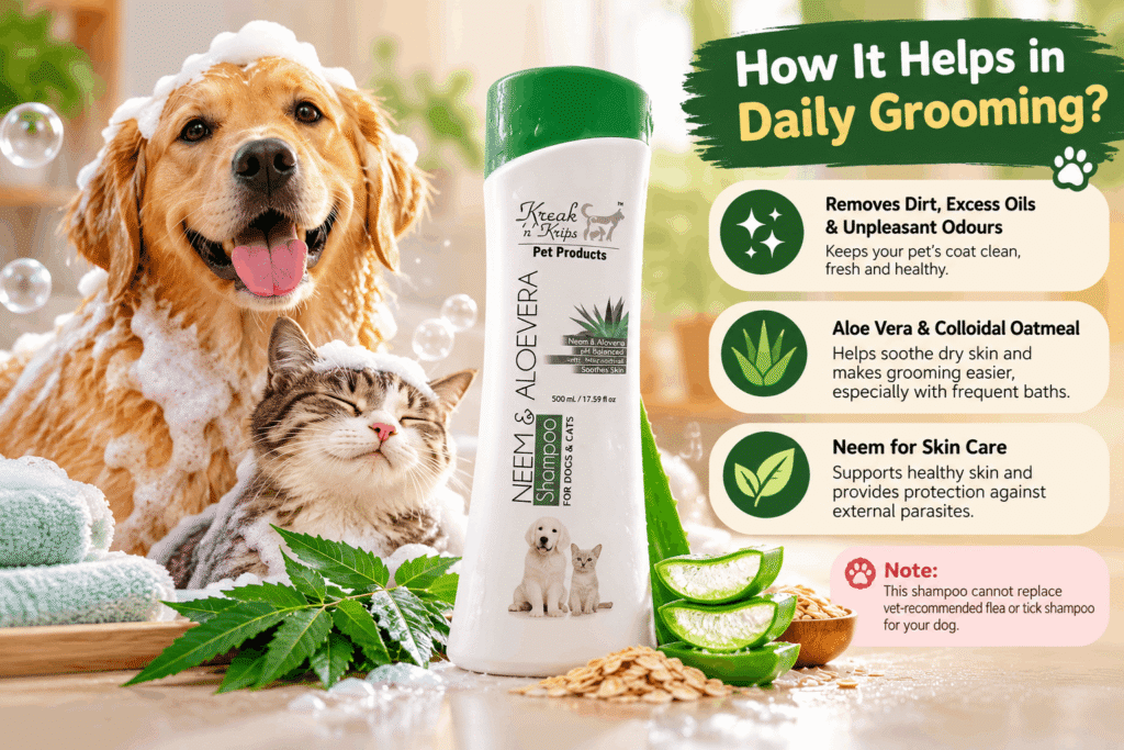 How Will It Help in Daily Grooming?